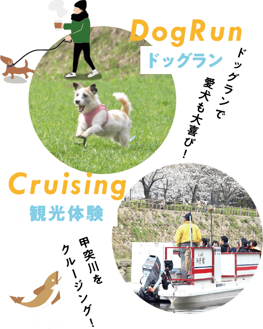 ドッグラン/ドッグランで愛犬も大喜び！/観光体験/甲突川をクルージング！
